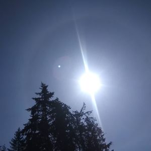 Meet your Posher, Rolondo